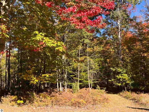 Tiny photo for 337 S East Torch Lake Drive, Bellaire, MI 49615 (MLS # 1946626)
