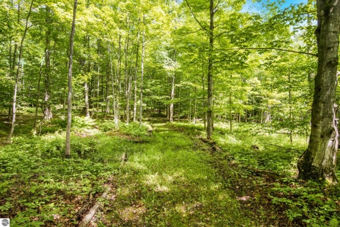 Tiny photo for 337 S East Torch Lake Drive, Bellaire, MI 49615 (MLS # 1946626)