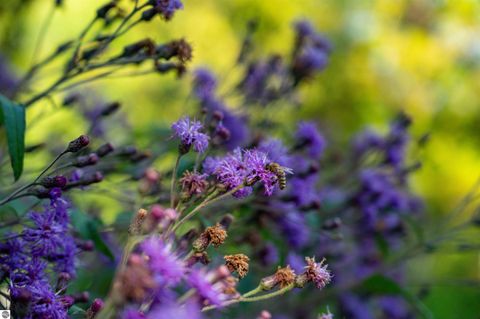 Tiny photo for 10910 S Shore Road, Suttons Bay, MI 49682 (MLS # 1938804)