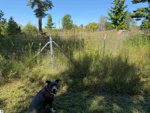 Tiny photo for 10910 S Shore Road, Suttons Bay, MI 49682 (MLS # 1938804)