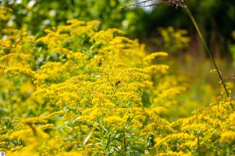 Tiny photo for 10910 S Shore Road, Suttons Bay, MI 49682 (MLS # 1938804)