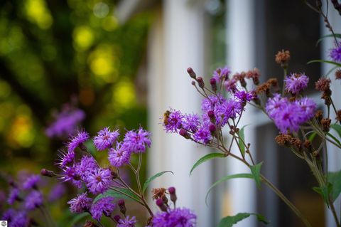 Tiny photo for 10910 S Shore Road, Suttons Bay, MI 49682 (MLS # 1938804)