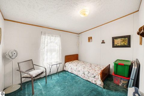 Tiny photo for 7915 S Curtis Road, Mt Pleasant, MI 48858 (MLS # 1944266)