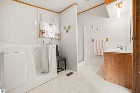 Tiny photo for 7915 S Curtis Road, Mt Pleasant, MI 48858 (MLS # 1944266)