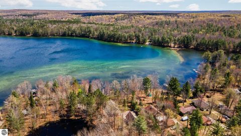 Tiny photo for 5738 NE Rita Drive, Kalkaska, MI 49646 (MLS # 1944839)
