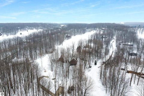 Tiny photo for 4951 Hawks Spur #101, Bellaire, MI 49615 (MLS # 1942249)