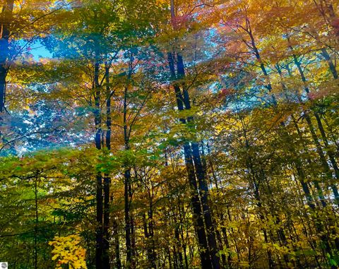 Tiny photo for 4951 Hawks Spur #101, Bellaire, MI 49615 (MLS # 1942249)