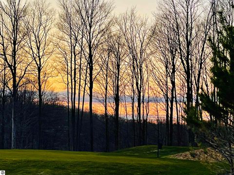 Tiny photo for 4951 Hawks Spur #101, Bellaire, MI 49615 (MLS # 1942249)