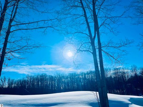 Tiny photo for 4951 Hawks Spur #101, Bellaire, MI 49615 (MLS # 1942249)