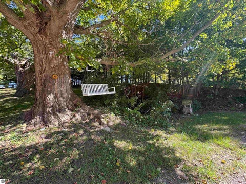 Tiny photo for 335 Bridge Street, Frankfort, MI 49635 (MLS # 1951069)