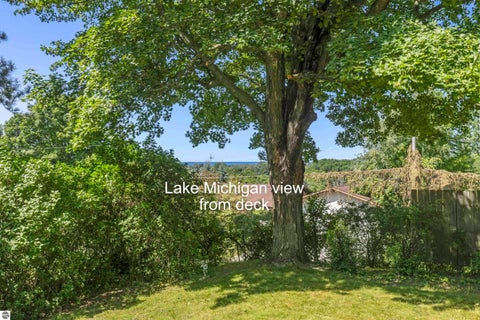 Tiny photo for 335 Bridge Street, Frankfort, MI 49635 (MLS # 1951069)