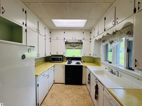 Tiny photo for 408 Garfield Street, Luther, MI 49656 (MLS # 1945102)