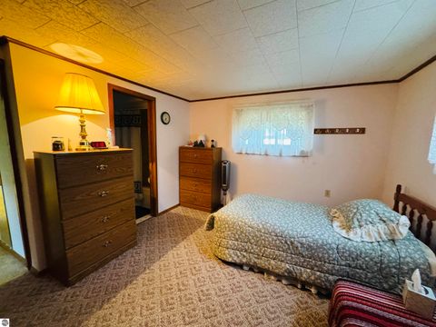 Tiny photo for 408 Garfield Street, Luther, MI 49656 (MLS # 1945102)