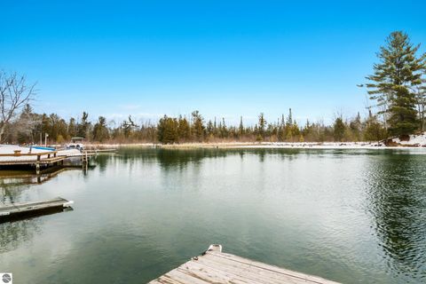 Tiny photo for 602 Green Acres St, Bellaire, MI 49615 (MLS # 1943220)