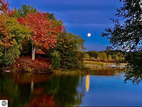 Tiny photo for 602 Green Acres St, Bellaire, MI 49615 (MLS # 1943220)