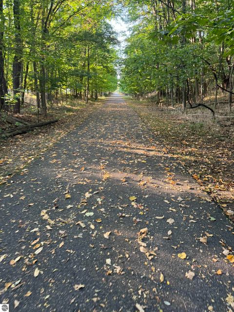 Tiny photo for 602 Green Acres St, Bellaire, MI 49615 (MLS # 1943220)