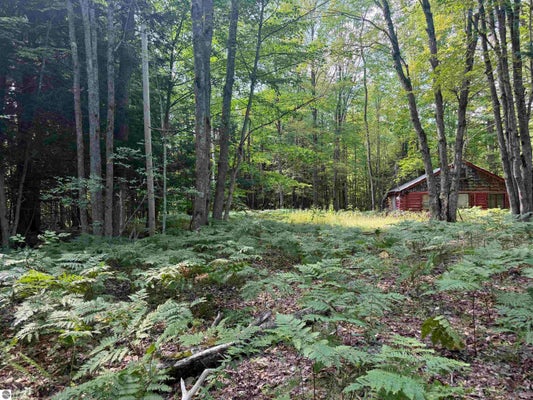 11712 HENSCHELL RD SW, FIFE LAKE, MI 49633 - Image 48592f3ee1c7b5ee9331d242c6ba2073/4046888292
