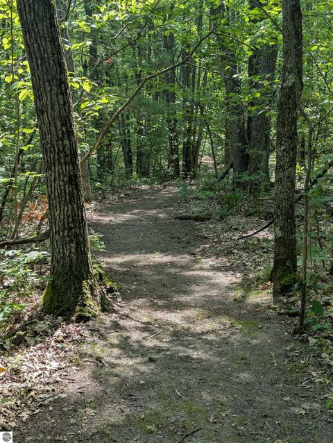 Tiny photo for 1825 W Sunset Drive, Roscommon, MI 48653 (MLS # 1941391)