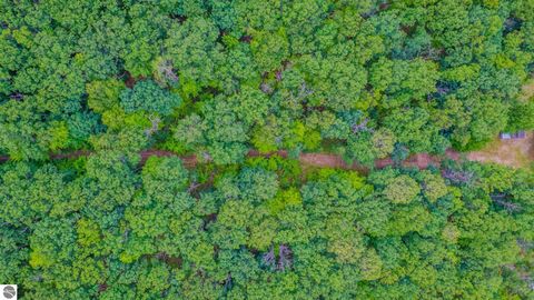 Tiny photo for 1825 W Sunset Drive, Roscommon, MI 48653 (MLS # 1941391)