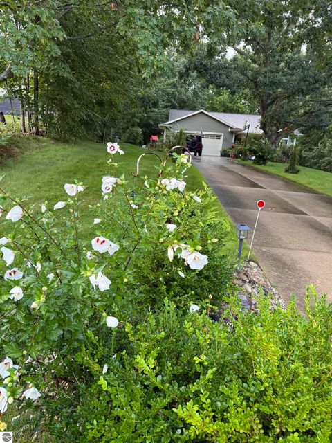 Tiny photo for 8274 Mychelle Lane, Cadillac, MI 49601 (MLS # 1942140)