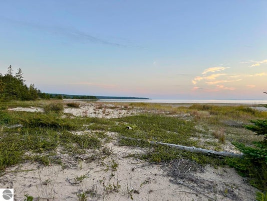 TBD MRS REDDINGS TRAIL, BEAVER ISLAND, MI 49782 - Image 49d39a4903ca6a5468cbaa39d4e7c3d4/3676166617