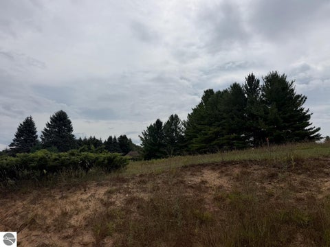 Tiny photo for 4239 Schoolcraft Road, Bellaire, MI 49615 (MLS # 1950046)