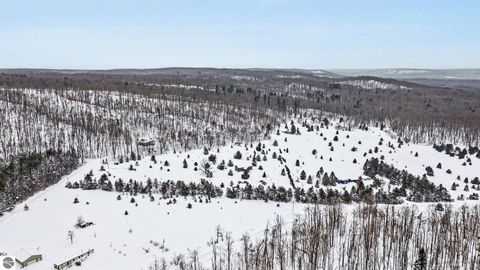 Tiny photo for 9626 Springvale, Boyne Falls, MI 49713 (MLS # 1943098)