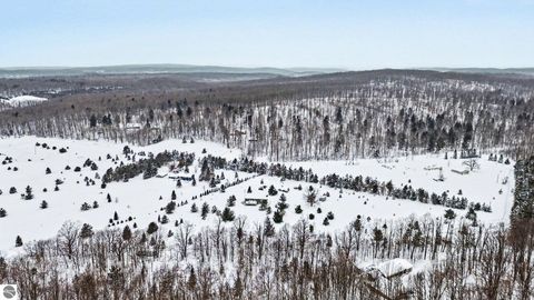 Tiny photo for 9626 Springvale, Boyne Falls, MI 49713 (MLS # 1943098)