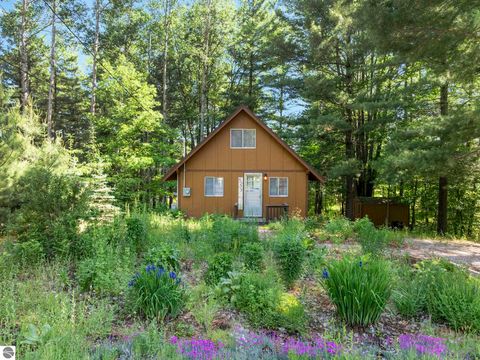 Tiny photo for 6255 Dyer Road, South Boardman, MI 49680 (MLS # 1946644)