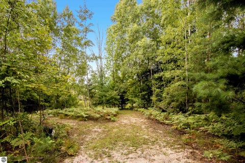 Tiny photo for 7417 Rushton Road, Ellsworth, MI 49729 (MLS # 1950466)