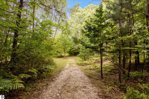 Tiny photo for 7417 Rushton Road, Ellsworth, MI 49729 (MLS # 1950466)