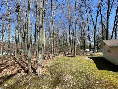 Tiny photo for 742 Bungo Lake Road, Harrison, MI 48625 (MLS # 1944683)