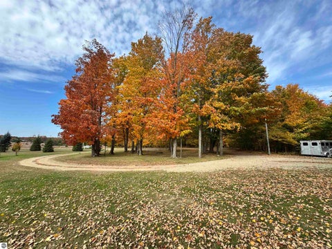 Tiny photo for 3651 W 2 1/2 Road, Buckley, MI 49620 (MLS # 1951590)