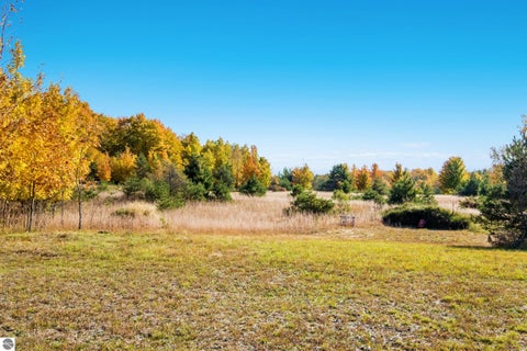 Tiny photo for 3651 W 2 1/2 Road, Buckley, MI 49620 (MLS # 1951590)