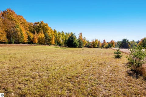 Tiny photo for 3651 W 2 1/2 Road, Buckley, MI 49620 (MLS # 1951590)