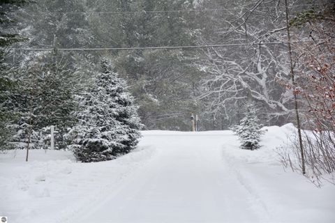 Tiny photo for 6622 Walton Road, Kingsley, MI 49649 (MLS # 1941835)