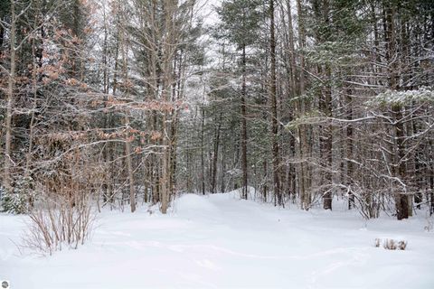 Tiny photo for 6622 Walton Road, Kingsley, MI 49649 (MLS # 1941835)