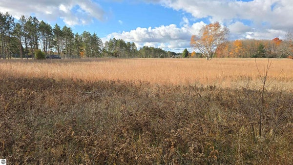 2022 US HIGHWAY 131 SW, SOUTH BOARDMAN, MI 49680 - Image 4b4bf6caa7217c583c2efa71e0a233ef/255834886