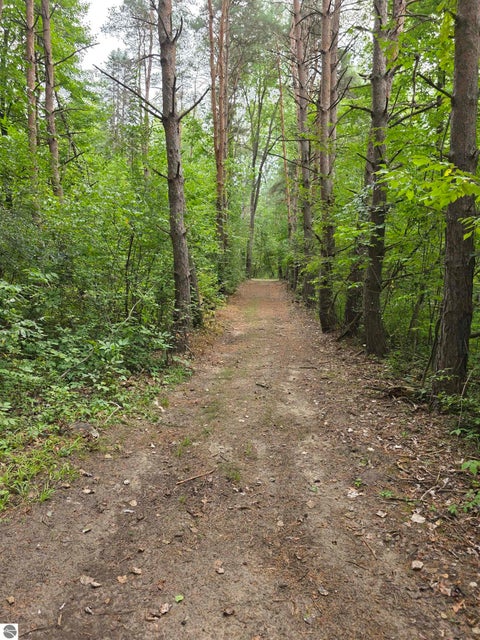 Tiny photo for 5277 S Wise Road, Shepherd, MI 48883 (MLS # 1950027)