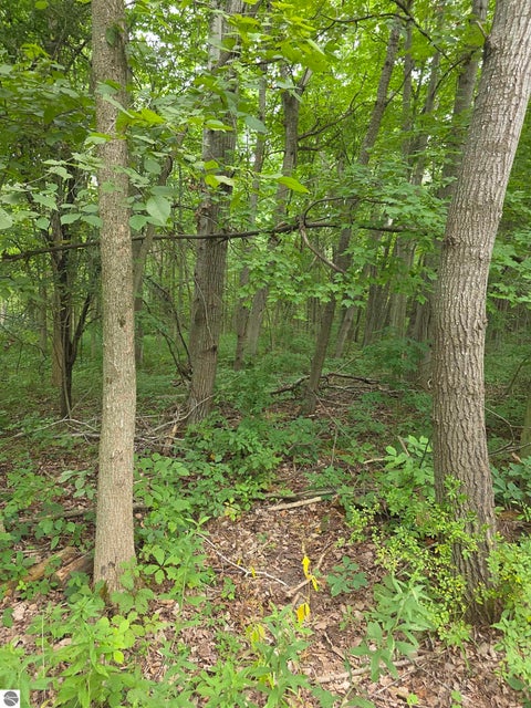 Tiny photo for 5277 S Wise Road, Shepherd, MI 48883 (MLS # 1950027)