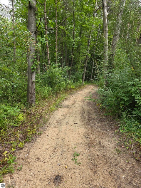 Tiny photo for 5277 S Wise Road, Shepherd, MI 48883 (MLS # 1950027)