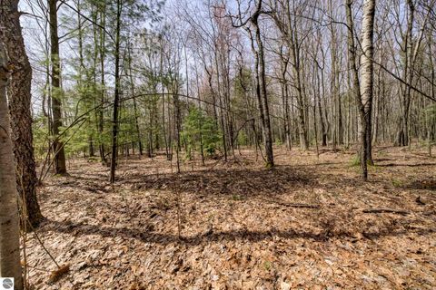 Tiny photo for 6250 Keffer Road, Kingsley, MI 49649 (MLS # 1944171)