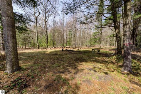 Tiny photo for 6250 Keffer Road, Kingsley, MI 49649 (MLS # 1944171)
