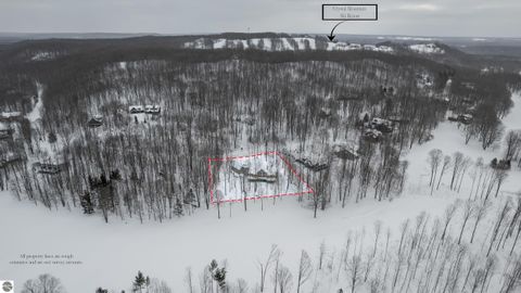 Tiny photo for 11511 Mountain Woods Drive, Thompsonville, MI 49683 (MLS # 1942419)