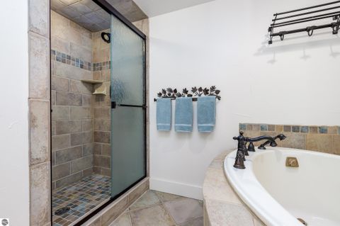 Tiny photo for 11511 Mountain Woods Drive, Thompsonville, MI 49683 (MLS # 1942419)