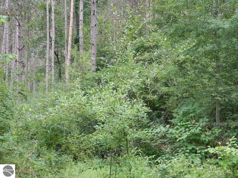 Tiny photo for 19282 Highway US 10, Reed City, MI 49677 (MLS # 1948849)