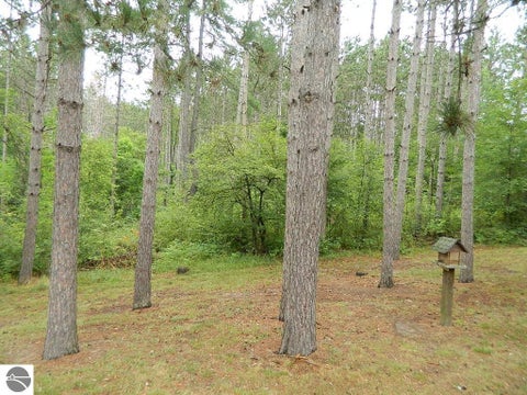 Tiny photo for 19282 Highway US 10, Reed City, MI 49677 (MLS # 1948849)
