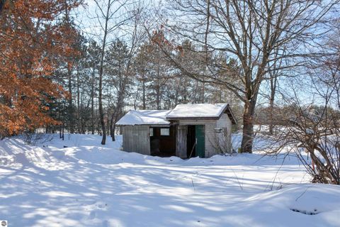 Tiny photo for 18495 W Cleon Street, Copemish, MI 49625 (MLS # 1941658)