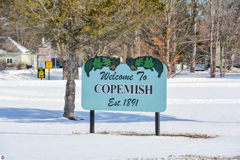 Tiny photo for 18495 W Cleon Street, Copemish, MI 49625 (MLS # 1941658)