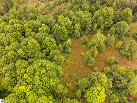 Tiny photo for 2216 W 16 Road, Mesick, MI 49668 (MLS # 1949899)